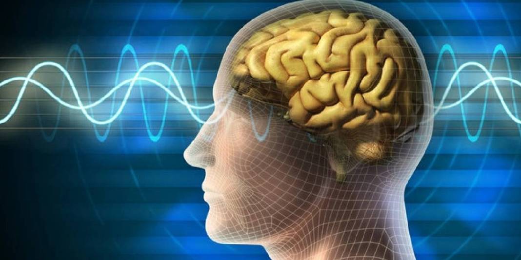 Ne balık ne ceviz! Beyin sağlığı için bilim insanları bunu öneriyor: Bir çay kaşığı bile yemek yeterli 6